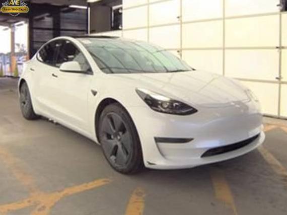 TESLA MODEL 3 2023 5YJ3E1EB3PF456990 image